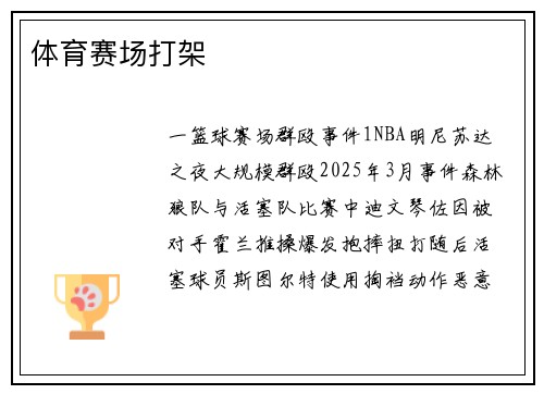 体育赛场打架
